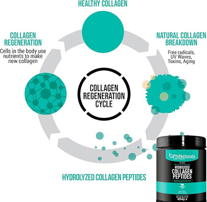 PhiNaturals Hydrolyzed Collagen Peptides Powder (unflavored) for Women and for Men - Grass Fed Bovine Beef Collagen
