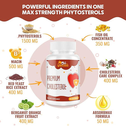 Cholesterol Supplements with Plant Sterols, Niacin, Red Yeast Rice, Citrus Bergamot, Garlic, Cholesterol Supplement Support Normal Cholesterol Levels, 360 Softgels