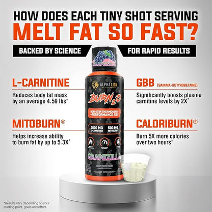 ALPHA LION Burn2O L-Carnitine Liquid 2000mg – Stim Free Super Thermogenic Fat Burner with MitoBurn® & CaloriBurn GP®, Metabolism Booster, Zero Calorie, Sugar-Free (31 Servings, Grapezilla Flavor)