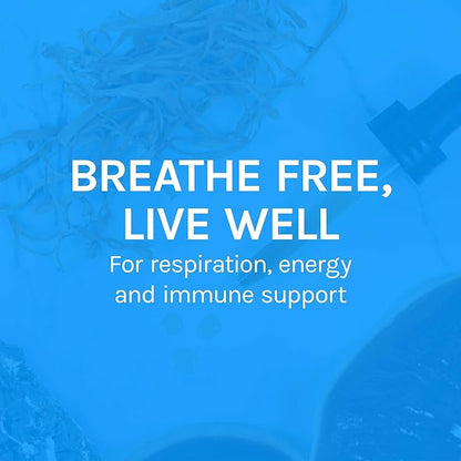 Host Defense Breathe* Extract - Immune & Respiratory Support Mushroom Liquid Supplement - Herbal Lung Health Supplement with Chaga, Reishi & Cordyceps - 1 fl oz (30 Servings)*