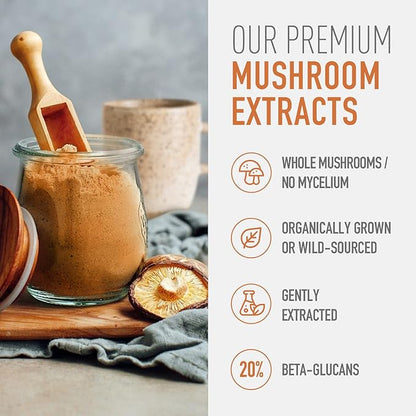 Organic Cordyceps Mushroom Powder Supplement - Cordyceps Extract for Increased Energy, Stamina, and Endurance (45g, 30 Servings) - Energize & Boost