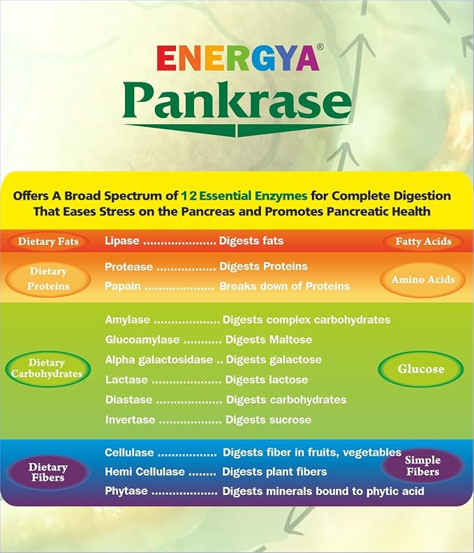 PANKRASE | Physician Trusted 12 Digestive Enzymes for Gas, Bloating, May Help in Digestion of Various Foods & Uptake of Vital nutrients | Hi-Tech Processing to Preserve Enzymes Action
