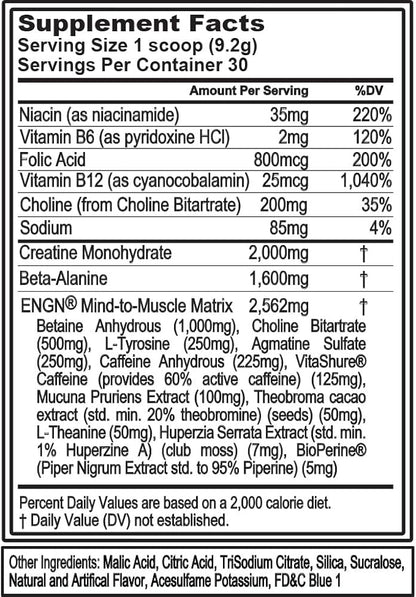 Evlution EVL Intense Pre Workout with Creatine - ENGN Energizing Pre Workout for Men Powder Drink for Lasting Energy Focus and Recovery - with Beta Alanine Caffeine and L Theanine - Rocket Pop