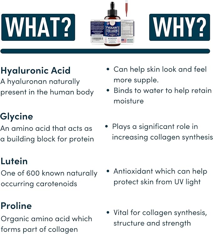 WINDSOR BOTANICALS Vegan Collagen Builder Liquid Supplement - Collagen Booster with Vitamin C, Biotin, Hyaluronic Acid & Amino Acids - Organic Fruit & Vegetable Blend - 120ml, 60 Day