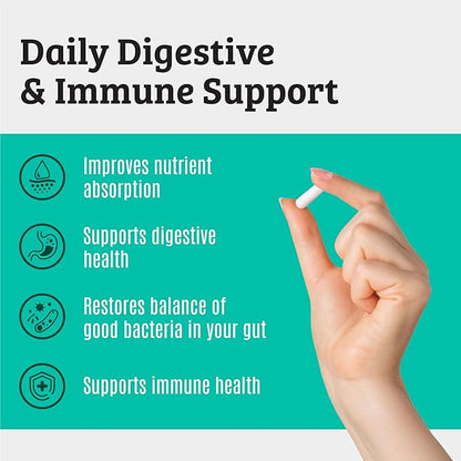 Prebiotics and Probiotics: Lactobacillus Gasseri, Lactobacillus Rhamnosus, Plantarum, Casei, Bifidobacterium longum, lactis, infantis. Probiotic Prebiotic, Pre and Probiotics for Digestive Health.
