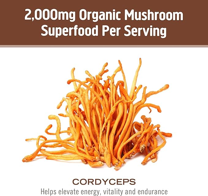 OM MUSHROOM SUPERFOOD Cordyceps Mushroom Capsules Superfood Supplement, 90 Count, 30 Days, Organic Energy Supplement for Stamina and Endurance