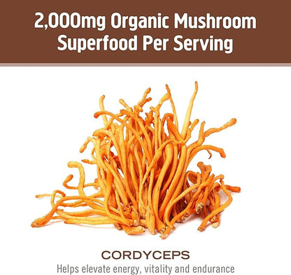 OM MUSHROOM SUPERFOOD Cordyceps Mushroom Capsules Superfood Supplement, 90 Count, 30 Days, Organic Energy Supplement for Stamina and Endurance