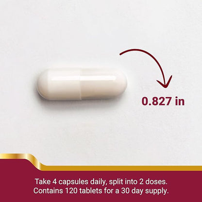 Chondroitin Glucosamine Capsules. Supports Joints and Helps Cartilage Regeneration, 120 Count