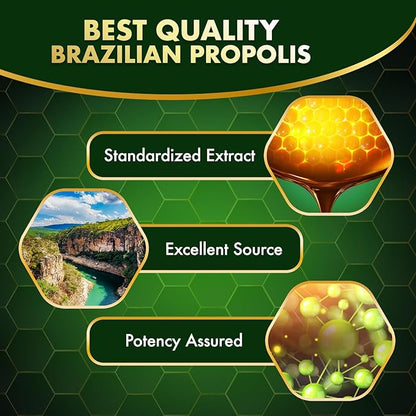 LABO Nutrition Brazilian Green Propolis Ultimate – Propolis Extract with 28mg Artepillin C and 5% Flavonoids Natural Bee Supplement for Immune, Brain Support High Concentrate Propolis, 60 Veg Capsx3