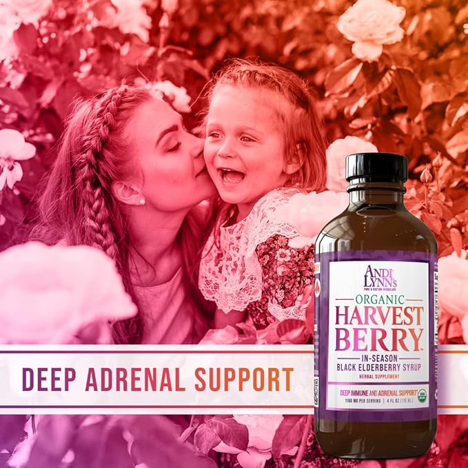 Andi Lynn's Organic Harvest Berry Syrup for Kids and Adults – Real Honey Elderberry Syrup for Immune Support - Therapeutic Formula - 4 Fl. Oz (Pack of 1)