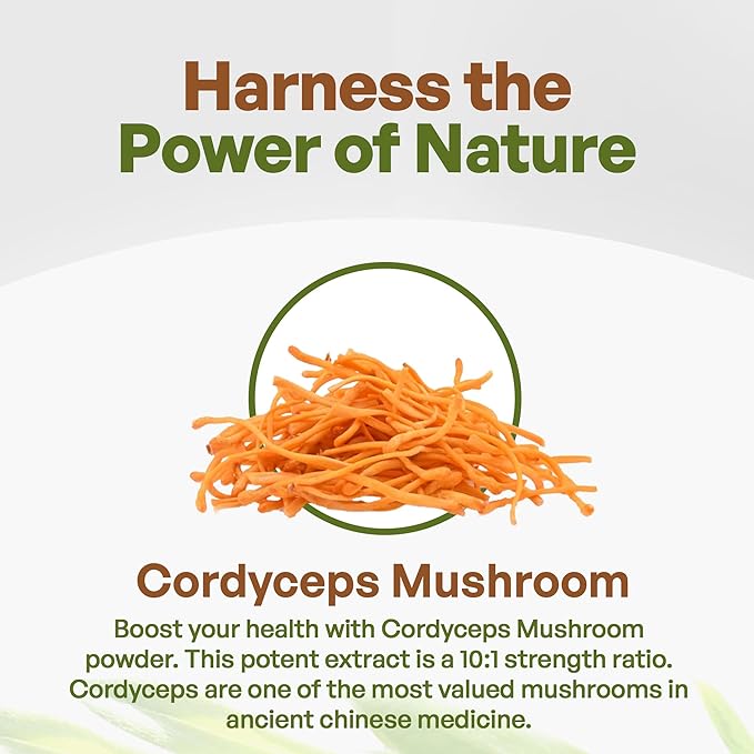 Go Nutra Cordyceps Mushroom Powder | Cordyceps Extract 30% Polysaccharides Non-GMO Pure Cordycep Powder 8 oz. (225 Grams)