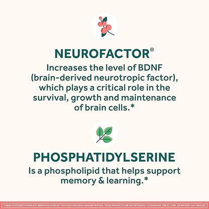 NEURIVA Original Decaffeinated Clinically Tested Nootropic Brain Supplement for Memory, Focus & Concentration, NeuroFactor & Phosphatidylserine, 28ct Capsules