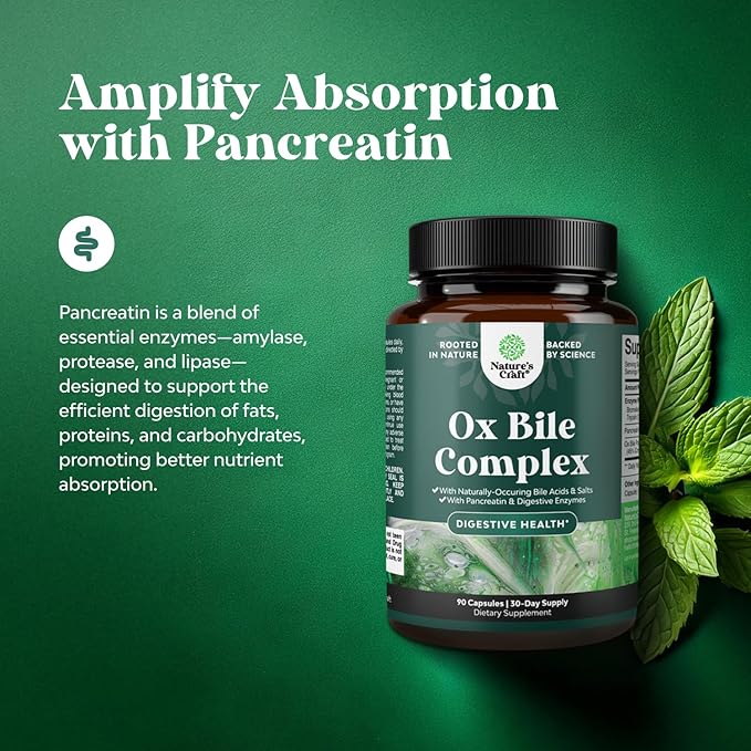 Digestive Enzymes with Ox Bile - Ox Bile Supplements for No Gallbladder with Trypsin, Papain & Bromelain Enzyme for Pancrease Cleanse & Detox - Pancreatin Digestion Enzymes for Women & Men - 90 Ct