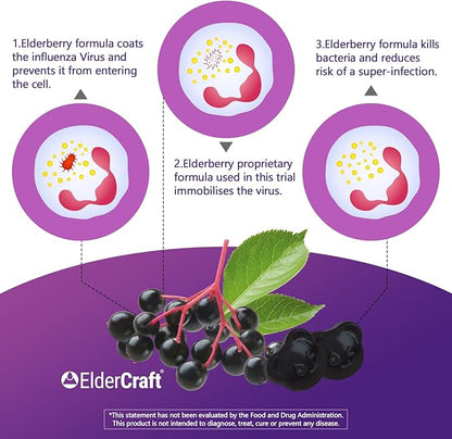 Natural Black Elderberry Gummies, Elderberry Fruit Extract with Vitamin C and Zinc, Herbal ElderCraft® Gummies Daily Immune Support for Kids and Adults, GMO Free, Gluten Free, 60 Count