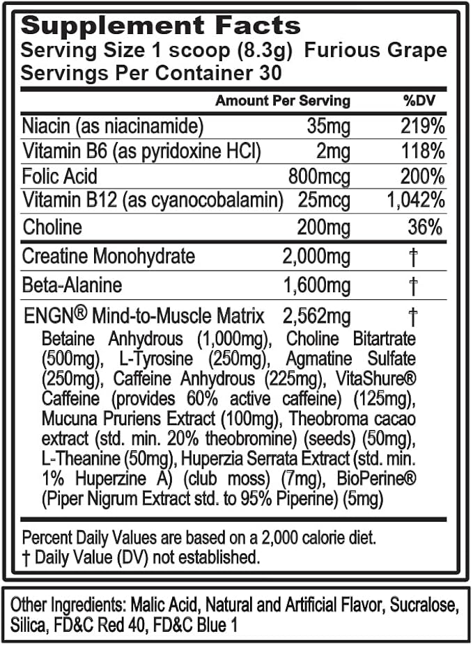 Evlution EVL Intense Pre Workout with Creatine - ENGN Energizing Pre Workout for Men Powder Drink for Lasting Energy Focus and Recovery - with Beta Alanine Caffeine and L Theanine - Furious Grape