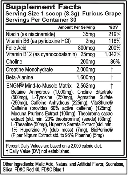 Evlution EVL Intense Pre Workout with Creatine - ENGN Energizing Pre Workout for Men Powder Drink for Lasting Energy Focus and Recovery - with Beta Alanine Caffeine and L Theanine - Furious Grape