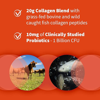 Garden of Life Collagen Bundle: Grass Fed Peptides Unflavored 14 Servings + Collagen Turmeric Apple Cinnamon 20 Servings + Multi-Sourced Collagen Unflavored Powder 12 Scoops, Hair, Skin, Nails Joints