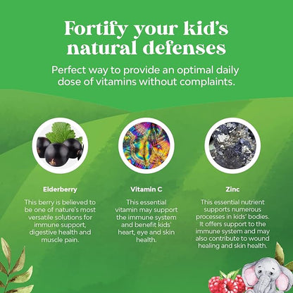 Natures Craft Kids Elderberry Gummies with Zinc and Vitamin C - Delicious Sambucus Black Elderberry Gummies for Kids Immune Support - Daily Immunity Support Vegan Non-GMO Gluten and Gelatin Free