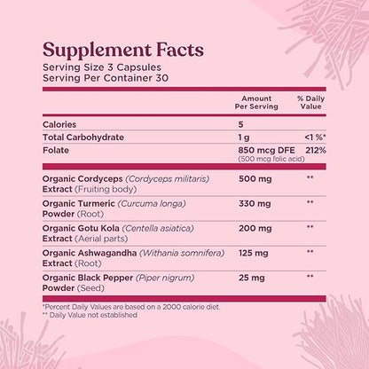 Four Sigmatic Memory Capsules | Reduce Brain Fog & Improve Memory | Nootropic Supplement for Brain Support with Cordyceps Mushroom, Gotu Kola, Turmeric, Ashwagandha & Folate | 30 Servings