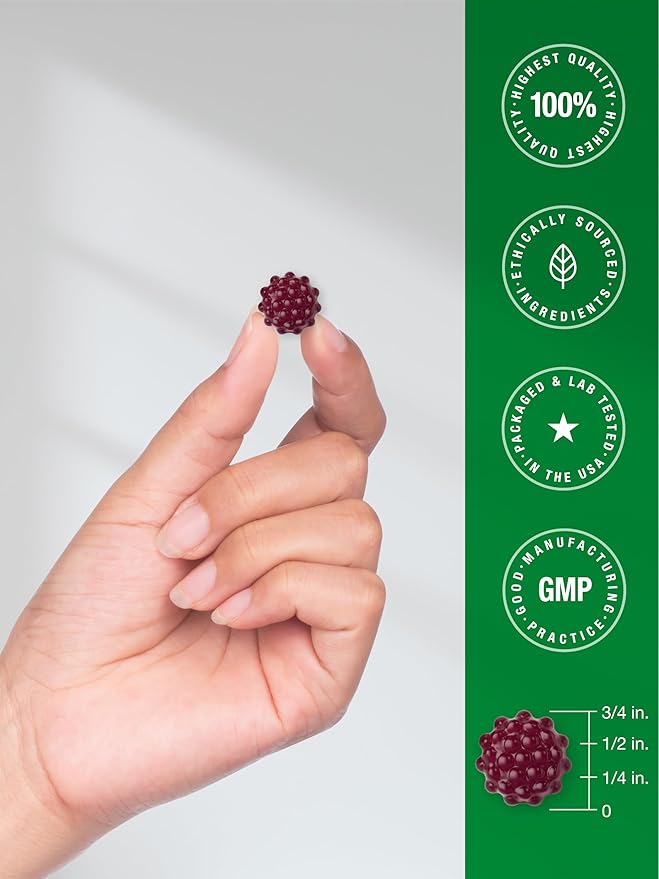 Horbaach Black Elderberry Gummies | 120 Count | Sambucus Extract | with Zinc and Vitamin C | Berry Flavor | Vegan, Non-GMO, and Gluten Free Supplement for Adults