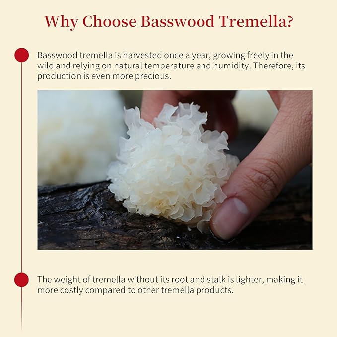 Wanhua Hall Dried White Snow Fungus Mushroom Whole White Wood Ear Mushroom for Cooking Tremella Fuciformis Mushroom 3.5oz/100g All Natural Vegan,Gluten-Free,No Additive 银耳 椴耳 雪耳 去根椴木小银耳