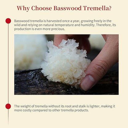 Wanhua Hall Dried White Snow Fungus Mushroom Whole White Wood Ear Mushroom for Cooking Tremella Fuciformis Mushroom 3.5oz/100g All Natural Vegan,Gluten-Free,No Additive 银耳 椴耳 雪耳 去根椴木小银耳