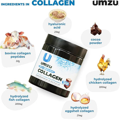UMZU ZuCollagen Hydrolyzed Protein Powder | 5 Collagen Peptide Types for Healthy Hair, Skin, Nails, Joints & Gut | Low Calorie, High Protein (20g Protein per Serving | Chocolate)