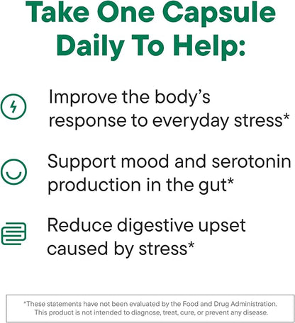 Daily Nouri Stress Probiotic | for Cortisol Management, Digestion, Daily Stress Relief & Gut Microbiome Health | 3 Probiotic Strains & Vegan Ahiflower Omega Oil | for Women & Men | 30-Day Supply