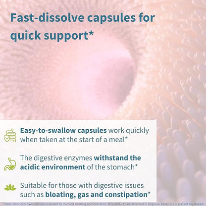 Igennus Fast Action Digestive Enzymes & Betaine HCl, 10 Broad Spectrum Enzymes with Protease, Lipase & Lactase, Papain & Bromelain, Plant-Based Vegan, Clean Label, for Women and Men, 6 Pack