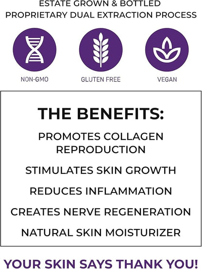 Skin Rejuvenation Supplement - Lion’s Mane, Oyster Mushroom, Vitamin E & Flush Free Niacin -Supports Skin Health & Radiance - 60 Capsules