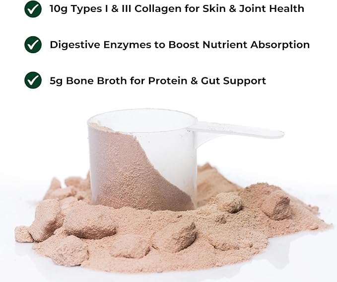 Olea Advanced Collagen & Bone Broth Powder, 10g Hydrolyzed Collagen, 5g Bone Broth, Hyaluronic Acid, MSM, Probiotics, Enzymes – Supports Skin, Hair, Nails, Joints & Gut Health, Rich Chocolate