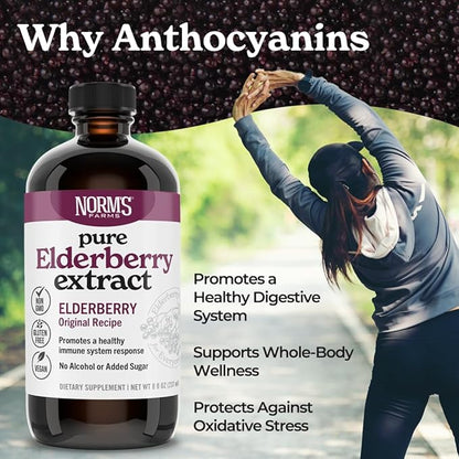 Norm's Farms Elderberry Extract & Wellness Syrup Bundle 2 PK - Immune Support Elderberry Syrup for Kids & Adults - Made in USA, Pure, Potent, Natural Ingredients, Vegan, Gluten-Free, Non-GMO - 8 Oz