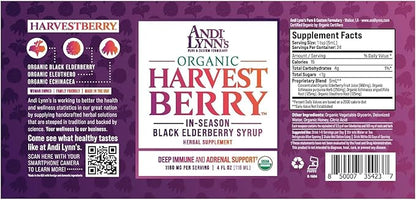 Andi Lynn's Organic Harvest Berry Syrup for Kids and Adults – Real Honey Elderberry Syrup for Immune Support - Therapeutic Formula - 4 Fl. Oz (Pack of 3)