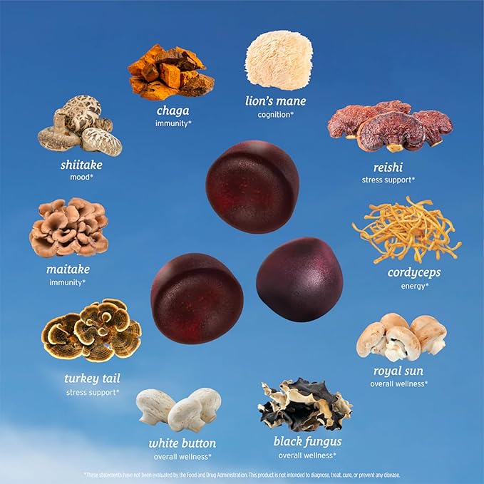 SUNMED All-in-One Mushroom Gummy Supplements for Focus, Energy, Mood & Immune Support – 10 Functional Mushrooms (Lion’s Mane, Reishi, Cordyceps, Chaga) | Wild Raspberry Flavor, 60ct