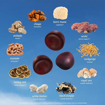 SUNMED All-in-One Mushroom Gummy Supplements for Focus, Energy, Mood & Immune Support – 10 Functional Mushrooms (Lion’s Mane, Reishi, Cordyceps, Chaga) | Wild Raspberry Flavor, 60ct