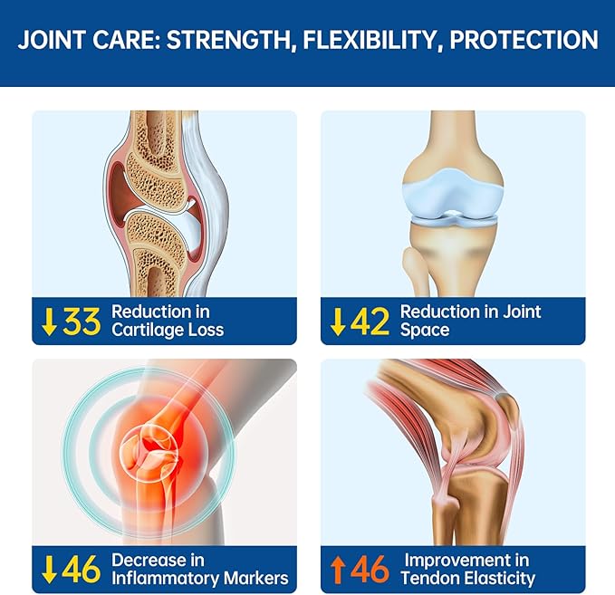 Low-Purine OVOMET Eggshell Membrane Glucosamine Chondroitin Sulfate MSM Boswellia Joint Supplement - Supports Mobility Comfort Strength Flexibility & Bone - Made in Germany - 60 Days Supply