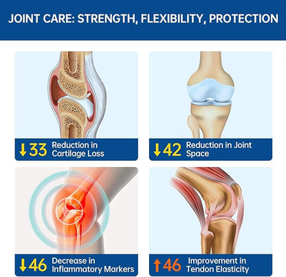 Low-Purine OVOMET Eggshell Membrane Glucosamine Chondroitin Sulfate MSM Boswellia Joint Supplement - Supports Mobility Comfort Strength Flexibility & Bone - Made in Germany - 60 Days Supply