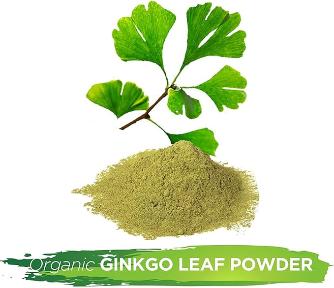 Wildcrafted Ginkgo Biloba Leaf Powder 16oz The Bloomin Herb Shoppe No Additives No Chemicals Tea