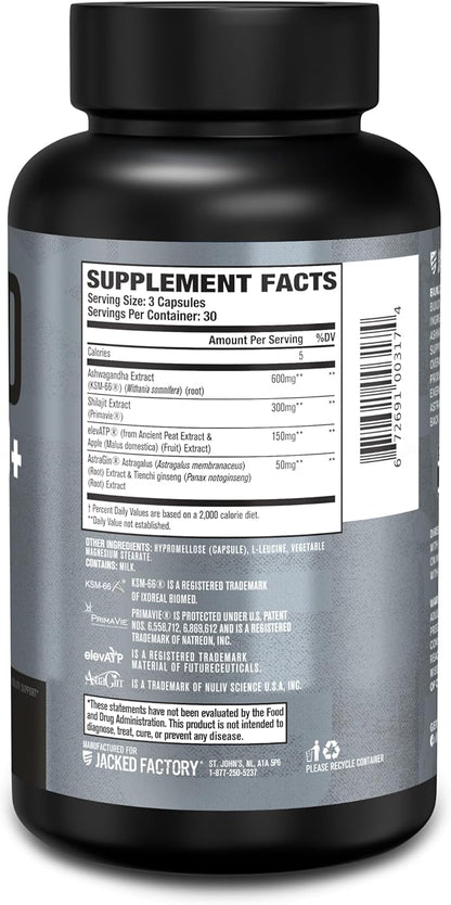 Jacked Factory Build-XT 50+ Daily Muscle Builder - Muscle Recovery Supplement & Muscle Builder for Men and Women with KSM-66 Ashwagandha, Primavie Shilajit, ElevATP, & Astragin - 90 Count