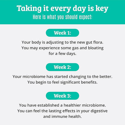 Prebiotics and Probiotics: Lactobacillus Gasseri, Lactobacillus Rhamnosus, Plantarum, Casei, Bifidobacterium longum, lactis, infantis. Probiotic Prebiotic, Pre and Probiotics for Digestive Health.