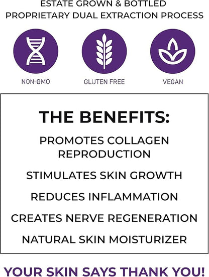 Skin Rejuvenation Supplement - Lion’s Mane, Oyster Mushroom, Vitamin E & Flush Free Niacin -Supports Skin Health & Radiance - 120 Capsules