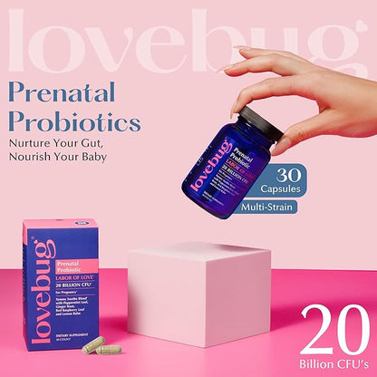 Lovebug Prenatal Probiotic | Helps with Morning Sickness, Nausea, Heartburn & Digestion | Helps Baby Microbiome | Multi Strain 20 Billion CFU | 30 Capsules
