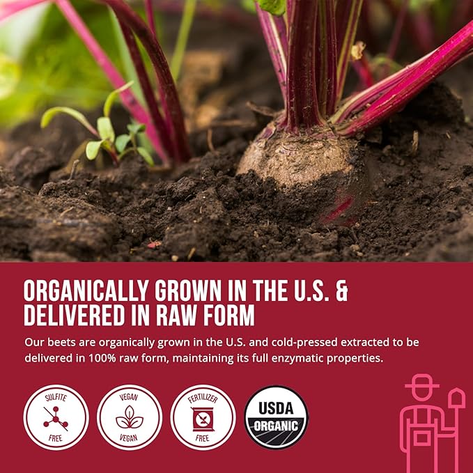 BioBeet® Beet Juice (Black Cherry Flavor) Max Strength 20x High Concentration than Beet Root Powder – Organic, Cold-Pressed, USA Grown, Raw Form – Nitric Oxide, Circulation Support (50 Servings)