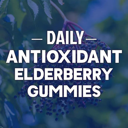 Immune Support Gummies - Sambucus Elderberry Gummy with Elder Berry Extract, Zinc & Vitamin C, Natural Vegan Immune Support Supplement for Adults & Children, Gummy Elderberry Vitamins - 60 Gummies