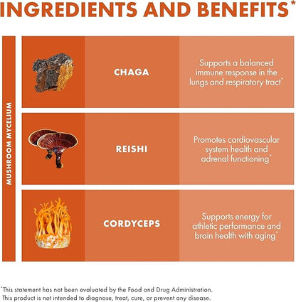 Host Defense Breathe* Extract - Immune & Respiratory Support Mushroom Liquid Supplement - Herbal Lung Health Supplement with Chaga, Reishi & Cordyceps - 2 fl oz (60 Servings)*