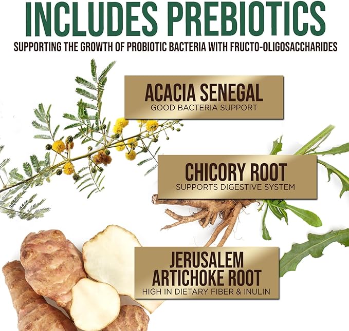 Probiotics 60 Billion CFU + 10 Strains - Daily Probiotic for Immune, Digestive & Gut Support, Prebiotics and Probiotics Supports Occasional Constipation, Gas & Bloating for Women & Men - 60 Capsules
