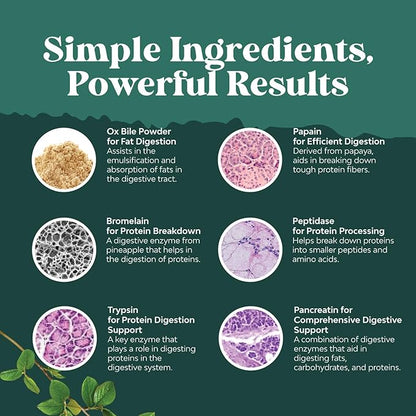 Digestive Enzymes with Ox Bile - Ox Bile Supplements for No Gallbladder with Trypsin, Papain & Bromelain Enzyme for Pancrease Cleanse & Detox - Pancreatin Digestion Enzymes for Women & Men - 90 Ct