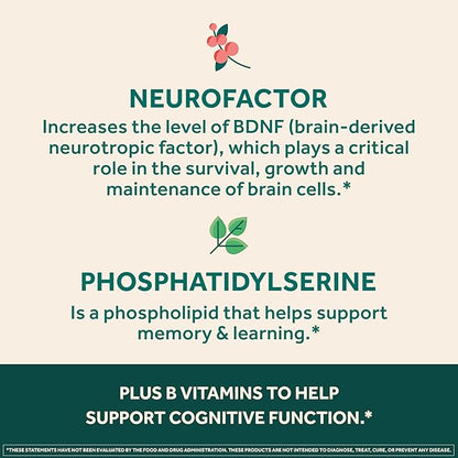 NEURIVA Ultra Decaffeinated Clinically Tested Nootropic Brain Supplement for Mental Alertness, Memory, Focus & Concentration, Cognivive, Neurofactor, Phosphatidylserine, Vitamins B6 B12, 60 Capsules