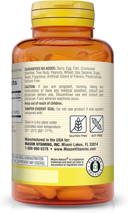 Mason Vitamins Ginkgo Biloba Capsules, 180 Count
