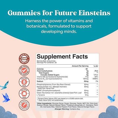 Kids Focus Gummies - Nootropics Brain Support Supplement for Kids with Green Tea Extract, B6 & B12 Vitamins for Memory and Brain Focus - Herbal Concentration Chews for Children - 90 Count